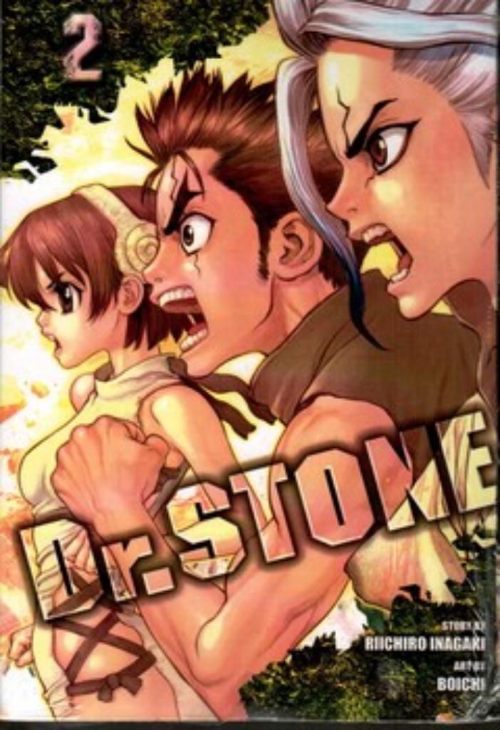 تصویر  DR STONE 2 (رقعی-شمیز)